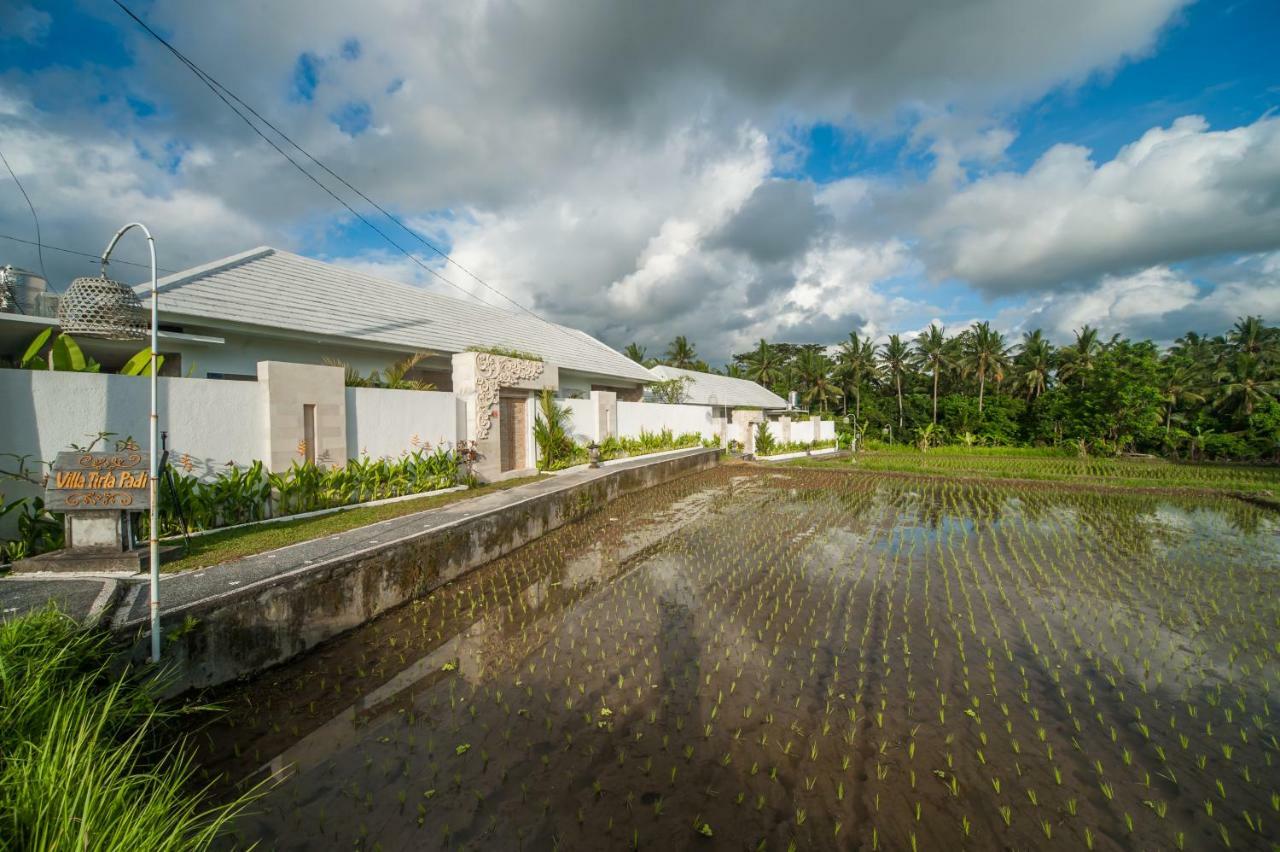 Tirta Padi 3, Pousada *